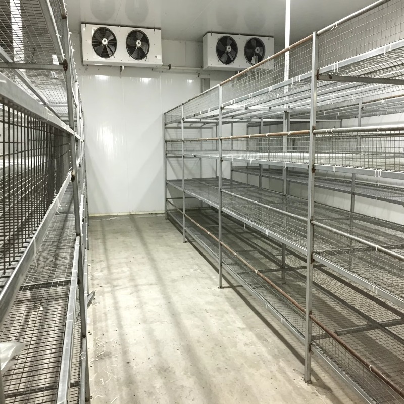 Hydroponische Containerfarm mi – Urban Farming Indoor Bewertung und Preis