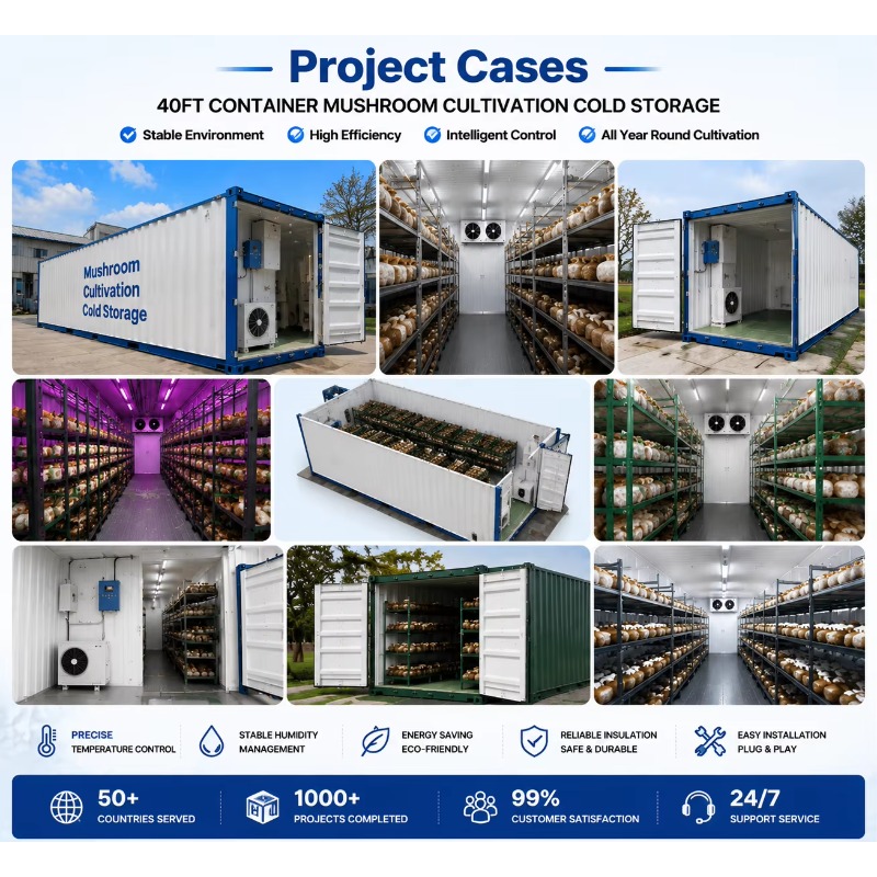 Hydroponische Containerfarm mi – Urban Farming Indoor Bewertung und Preis
